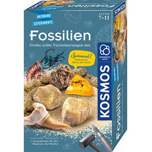 Kosmos Fossilien Ausgrabungs-Set (63046) um 7,73 € statt 10,19 €