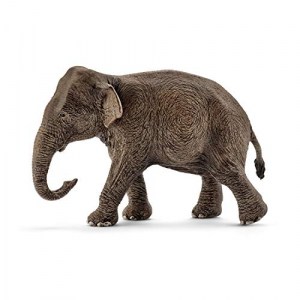 Schleich Wild Life – Asiatische Elefantenkuh (14753) um 5,03 € statt 9,99 €