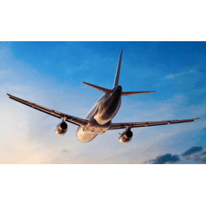 Billige Flüge zu Wahnsinnspreisen bei Urlaubshamster