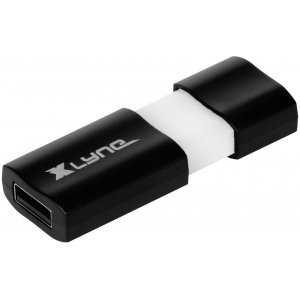 Xlyne Wave USB-Stick 256 GB (USB 3.0) um 29,99 € statt 41,33 €